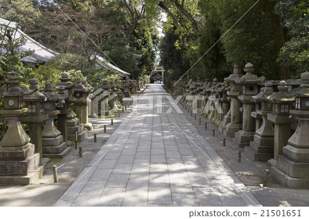 Stone lantern cage group of Shishimizu-Hachimangu Shrine 21501651