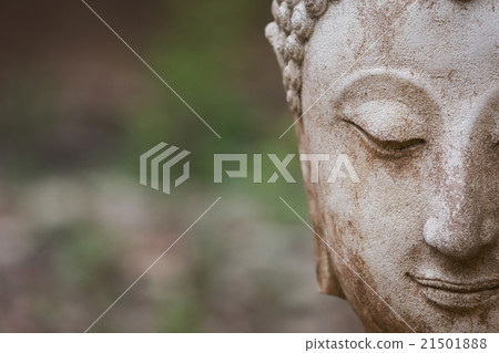 buddha statue in wat umong, chiang mai 21501888