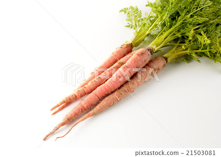 金胡蘿蔔 金胡蘿蔔 21503081