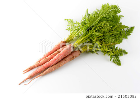 金胡蘿蔔 金胡蘿蔔 21503082