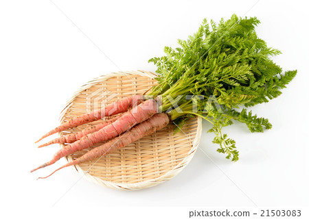 金胡蘿蔔 金胡蘿蔔 21503083