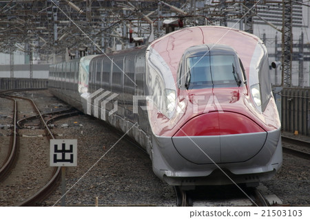 Akita Shinkansen E6 Series Shinkansen 21503103