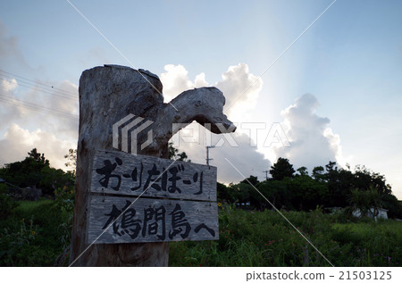 沖繩Harukajima Ota Rod 21503125