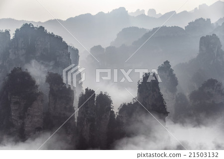 Zhangjiajie National Forest Park, Hunan, China Zhangjiajie National Forest Park, Hunan, China 21503132