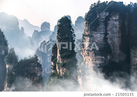 Zhangjiajie National Forest Park, Hunan, China 21503135