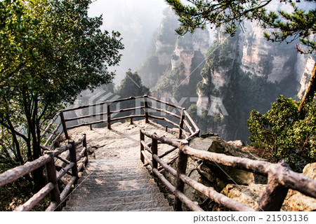 Zhangjiajie National Forest Park, Hunan, China 21503136