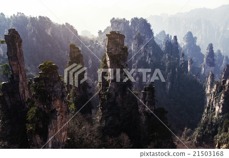 Zhangjiajie National Forest Park, Hunan, China Zhangjiajie National Forest Park, Hunan, China 21503168