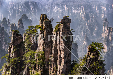 Zhangjiajie National Forest Park, Hunan, China 21503171