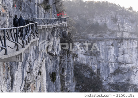 Walking path along the cliff  Zhangjiajie, China 21503192