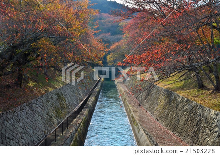 Lake Biwa canal Lake Biwa canal 21503228