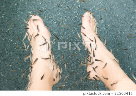 Doctor fish tank 21503415