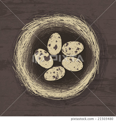 Eggs in nest on wooden texture Eggs in nest on wooden texture 21503480