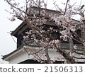 Castles and cherry blossoms 21506313