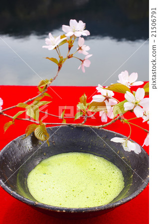 Spring Point 21506791