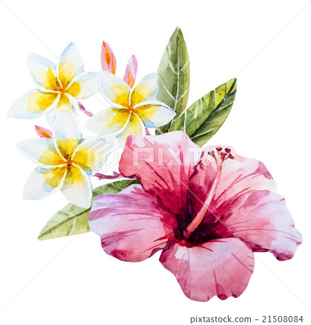 Watercolor hibiscus flower Watercolor hibiscus flower 21508084