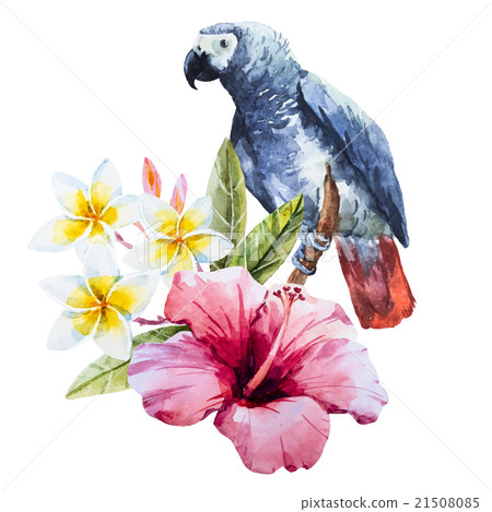 Watercolor hibiscus flower and parrot Watercolor hibiscus flower and parrot 21508085