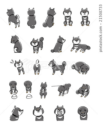 Shiba Inu illustration 21508733