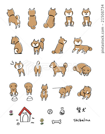 Shiba Inu illustration Shiba Inu illustration 21508734