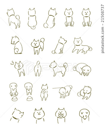 Shiba Inu line illustration 21508737
