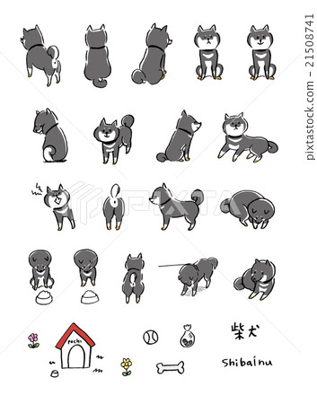 Shiba Inu illustration 21508741