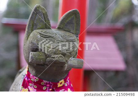 狐狸 狐狸 21509498