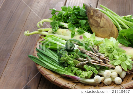 Wild plants 21510467