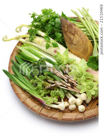 Wild plants 21510469