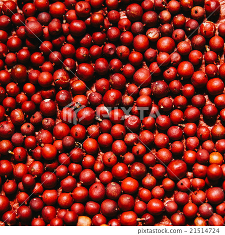 紅色的身體 紅色的身體 21514724