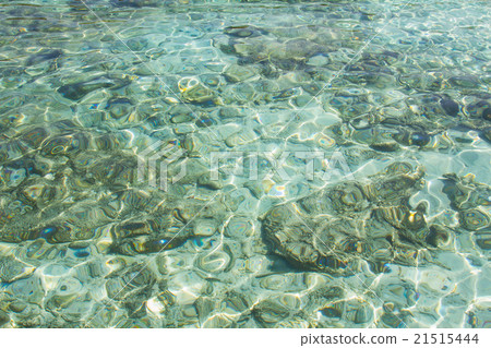 Crystal clear water of the tropical sea 21515444