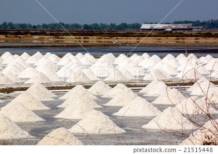 Bring together the salt pile 21515448