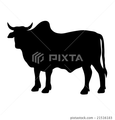 zebu silhouette 21516183