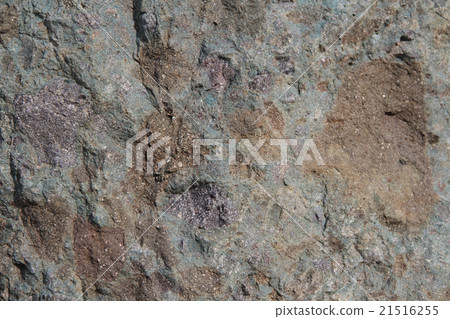 Rock specimen Tuff-angle conglomerate (100 million years ago) Rock specimen Tuff-angle conglomerate (100 million years ago) 21516255