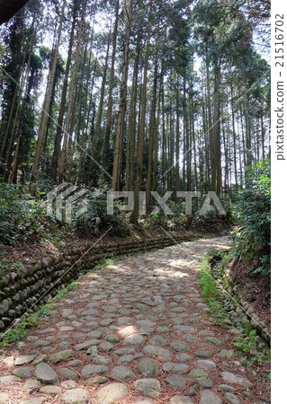 鋪路石 21516702