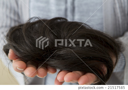 wig 21517585