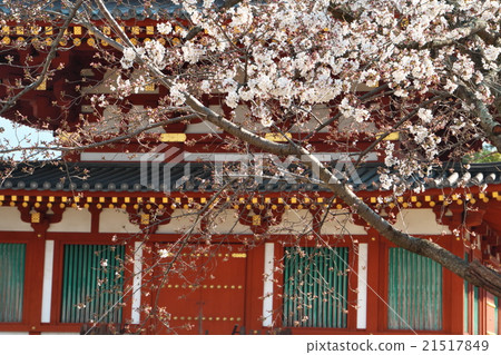 奈良Yakushiji 21517849