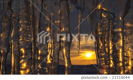 Setting sun is reflected in icicles. 21518044