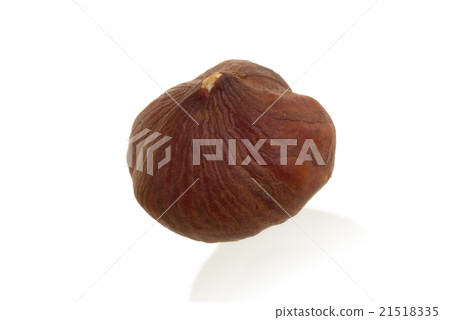 Single hazelnut isolated Single hazelnut isolated 21518335
