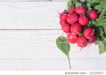 bundle of bright fresh organic radishes bundle of bright fresh organic radishes 21519121