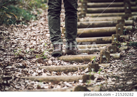 戶外燈光漫步 戶外燈光漫步 21520282