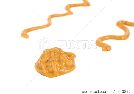 mustard isolated 21520832