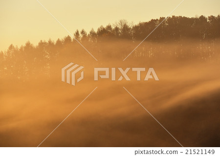 Mist in the morning sun and golden color 21521149