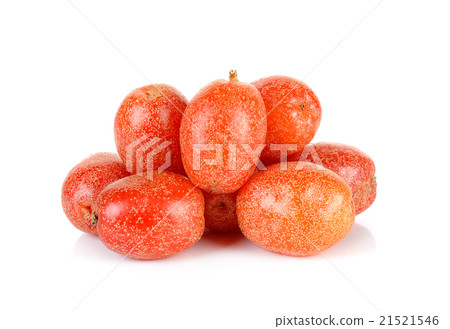 croton tiglium isolated on the white background 21521546