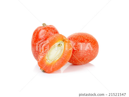 croton tiglium isolated on the white background croton tiglium isolated on the white background 21521547