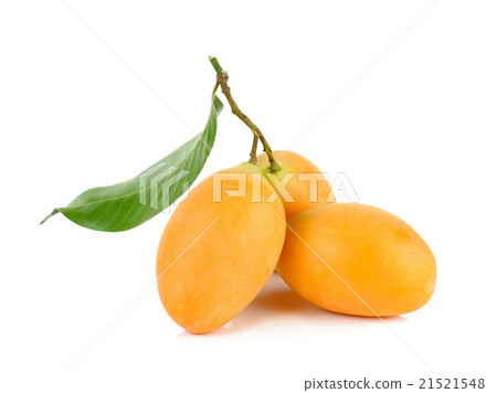 Marian plum thai fruit isolated on white 21521548