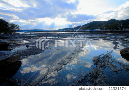 Tide puddle Tide puddle 21521874