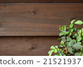 Rose leaves and grain background 21521937