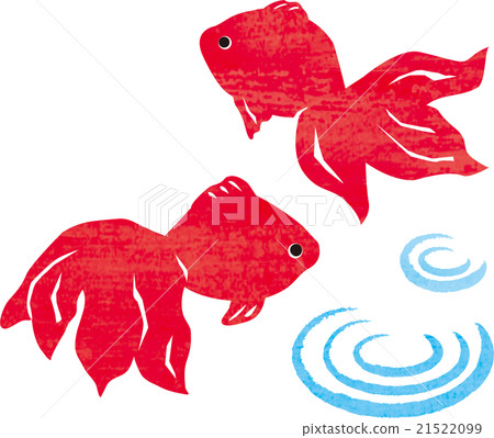 兩條金魚 兩條金魚 21522099