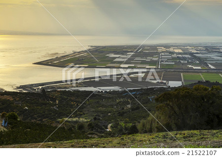 Shimabara Bay Narcissist Hill Shimabara Bay Narcissist Hill 21522107