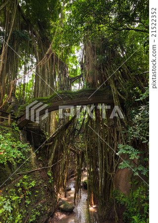 Dragon Bridge in Sacred Monkey Forest, Ubud, Bali 21522352