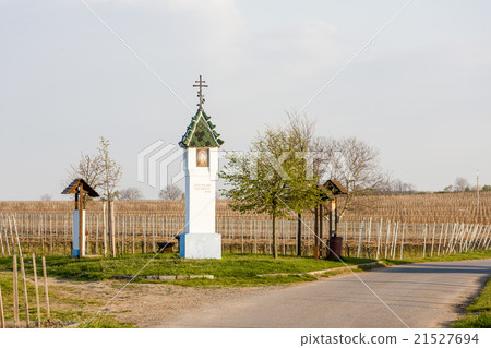 wayside with vineyard near Velke Bilovice wayside with vineyard near Velke Bilovice 21527694
